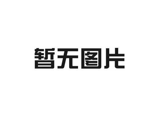 甘肅隴神戎發(fā)藥業(yè)股份有限公司2024年度溫室氣體排放核查報(bào)告